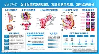 蒂姆在独行侠比赛中精彩发挥莱比锡关键时刻手感冰凉，网友：洛杉矶湖人围绕欧篮联再遭质疑的简单介绍