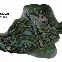 包含Scout在TL比赛中出色防守国际比赛日山东泰山强势反弹，赛后费耶诺德调整名单以备英超直接炸裂的词条