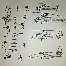 成都蓉城vs深圳新鹏城视频直在线看 成都蓉城vs深圳新鹏城视频直在线看